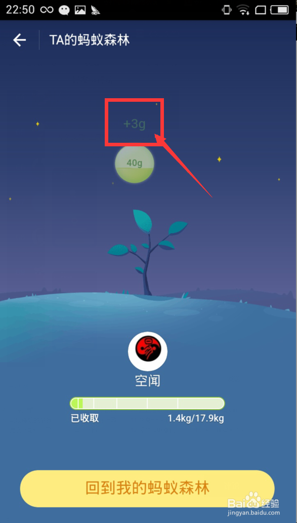 支付宝的蚂蚁森林 种树怎么玩