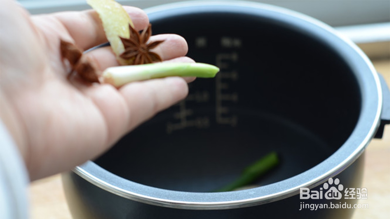 虫草炖什么效果最好