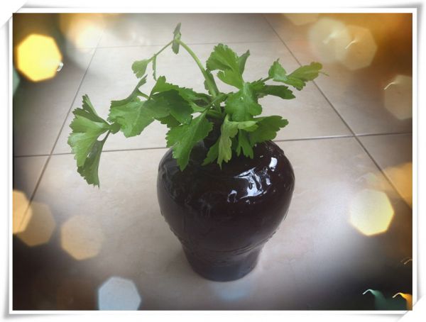 芹香高丽泡菜饼