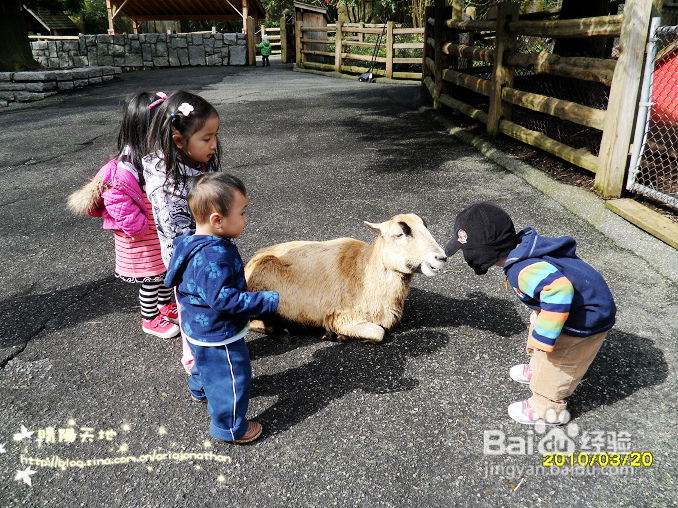 拾海的孩子&亲亲小动物(组图)