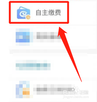 云南税务局养老保险怎么交