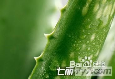 怎样安全消除脸上青春痘