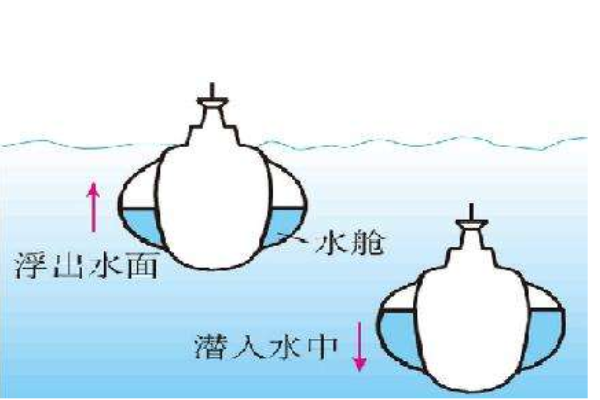物体在水中受到的浮力与什么有关