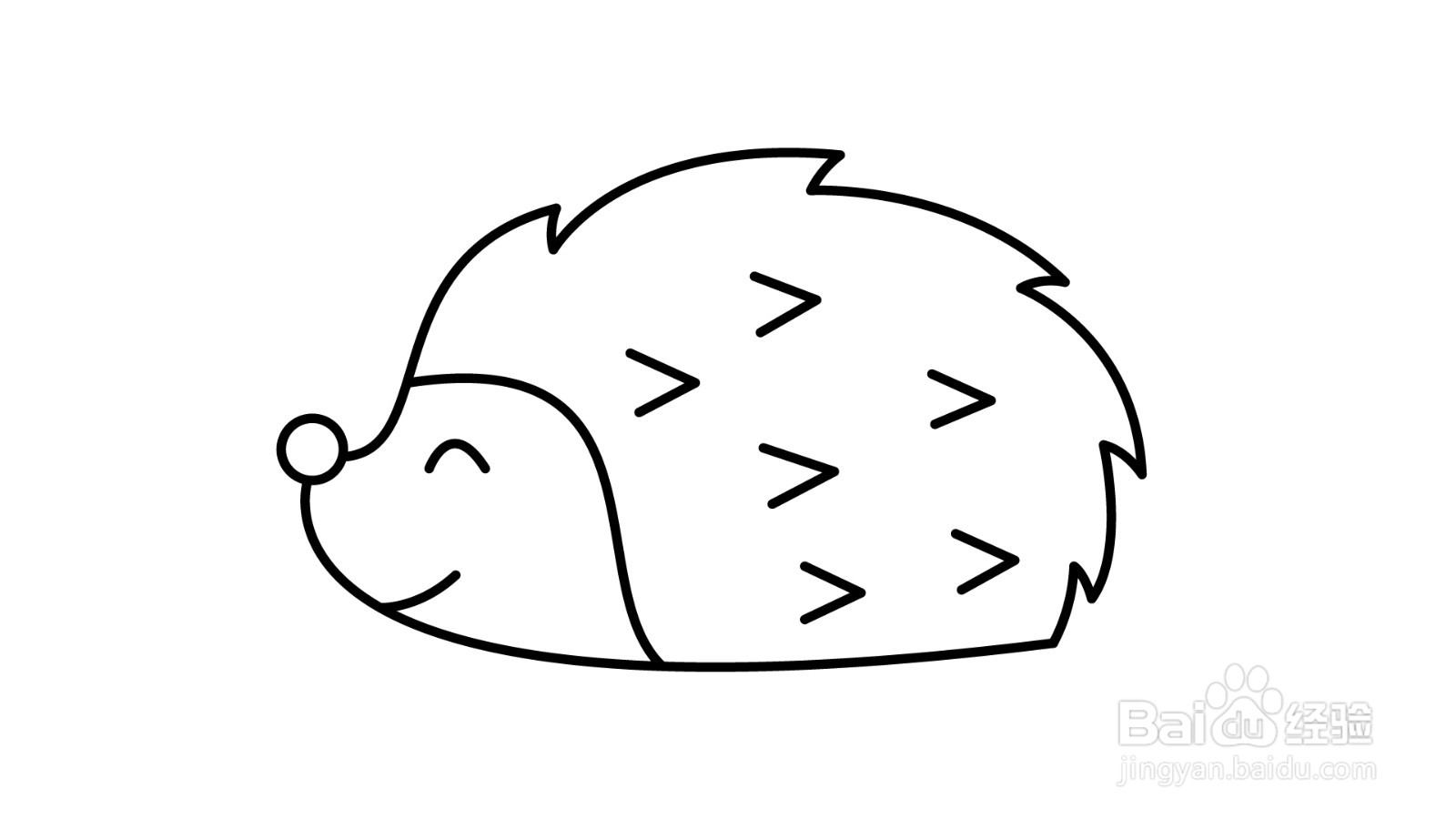 简笔画教程:刺猬简笔画