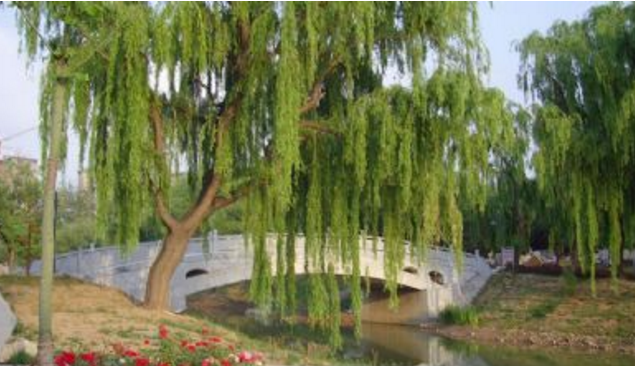 昌乐有哪些著名的旅游景点