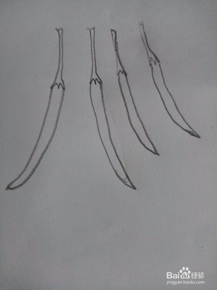 红辣椒的简笔画