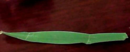 芦叶船怎么做 用图教