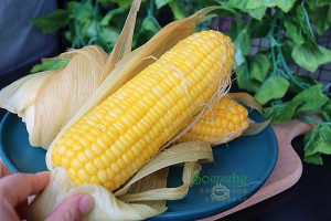 健康养生佳品煮甜玉米的做法