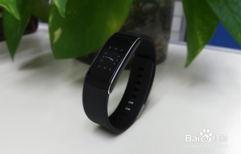 埃微高颜值蛋卷心率手环开箱晒物