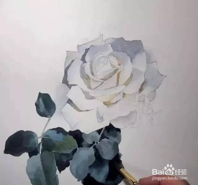 水彩玫瑰花的画法