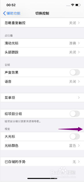 iphone11怎么开启切换控制视觉大光标
