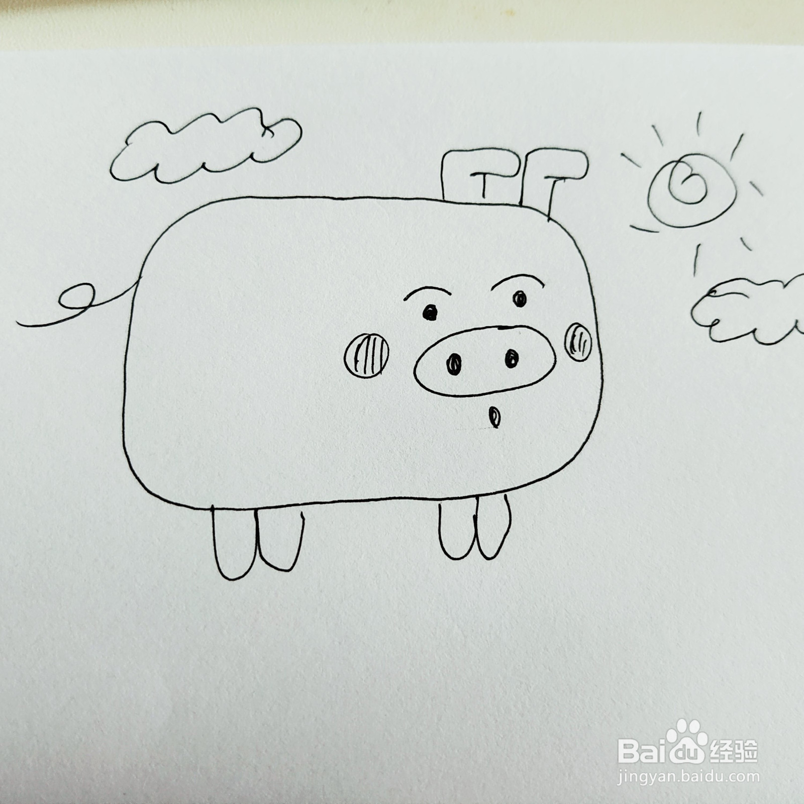 如何来教给孩子画一只胖嘟嘟的小猪呢？