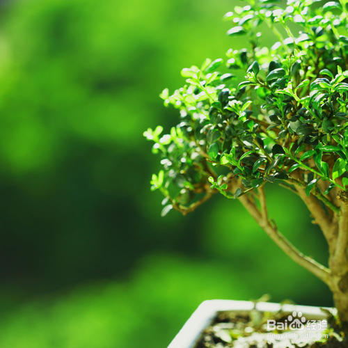 新房多久入住最安全合适