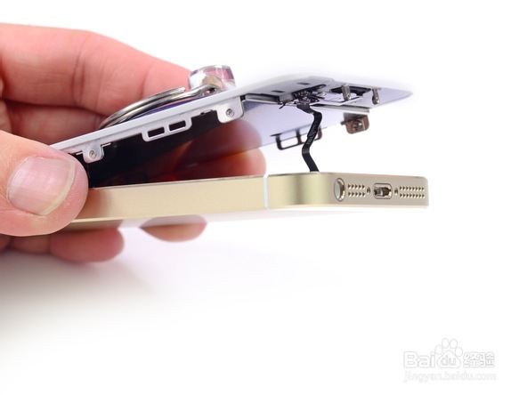 iPhone 5s拆解图