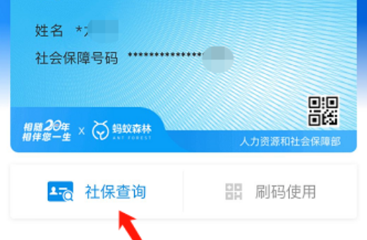 怎么查询农村合作医疗是否缴费