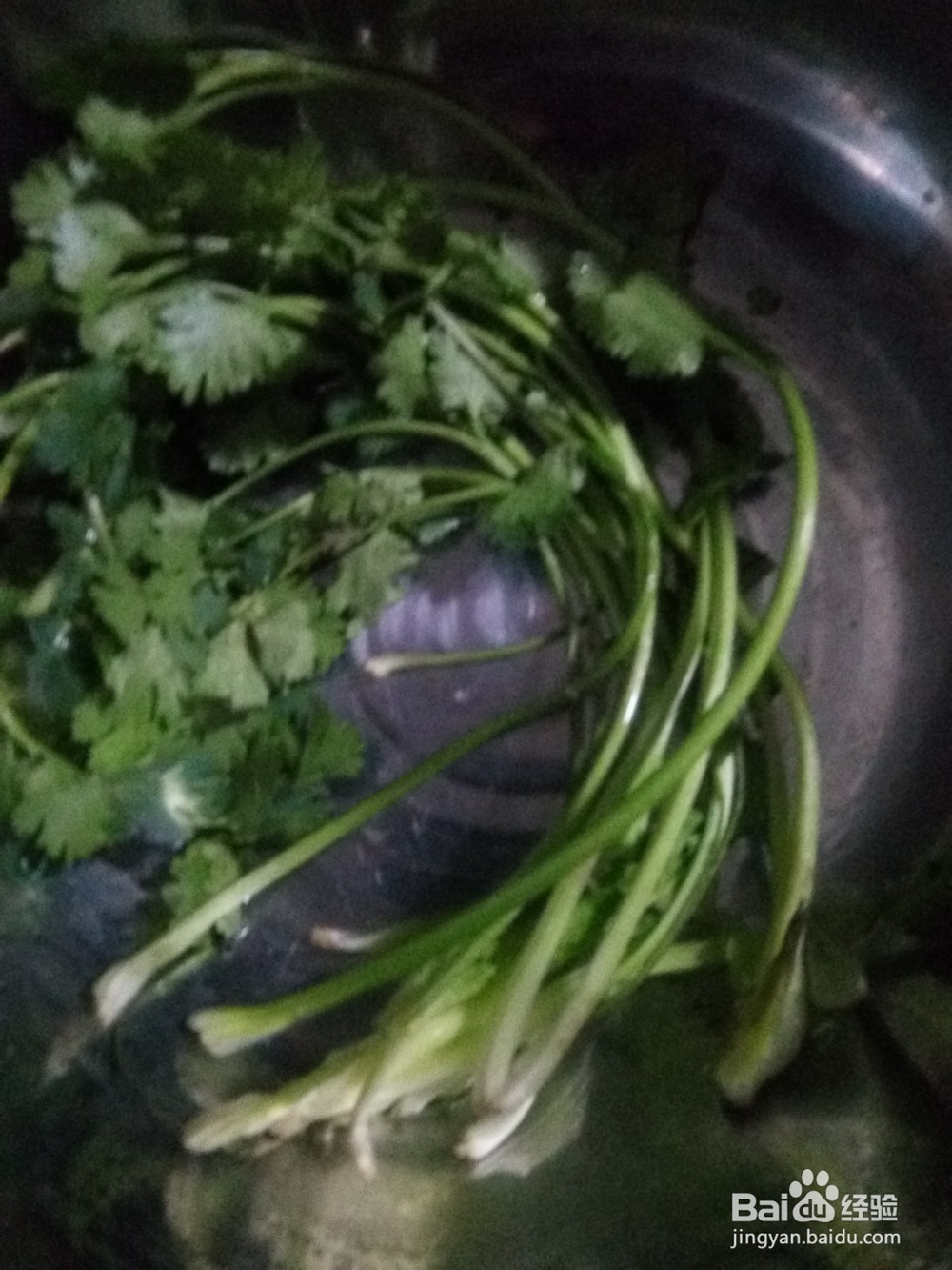 卷心菜青椒丝拌木耳香菜段