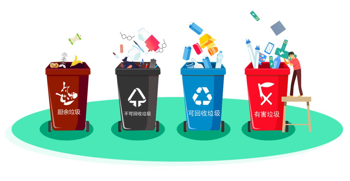 分类名词解释是什么