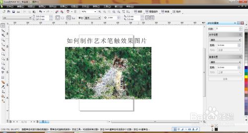 如何用CDR软件制作艺术笔触效果图片
