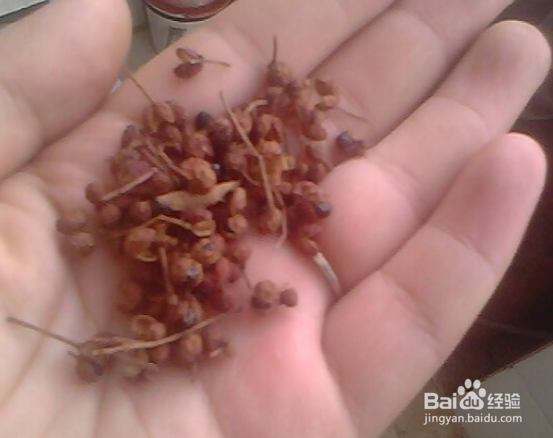 小鸡炖蘑菇土豆的做法