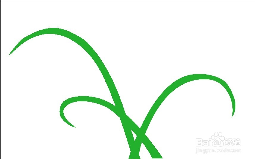 photoshop绘制简单绿叶