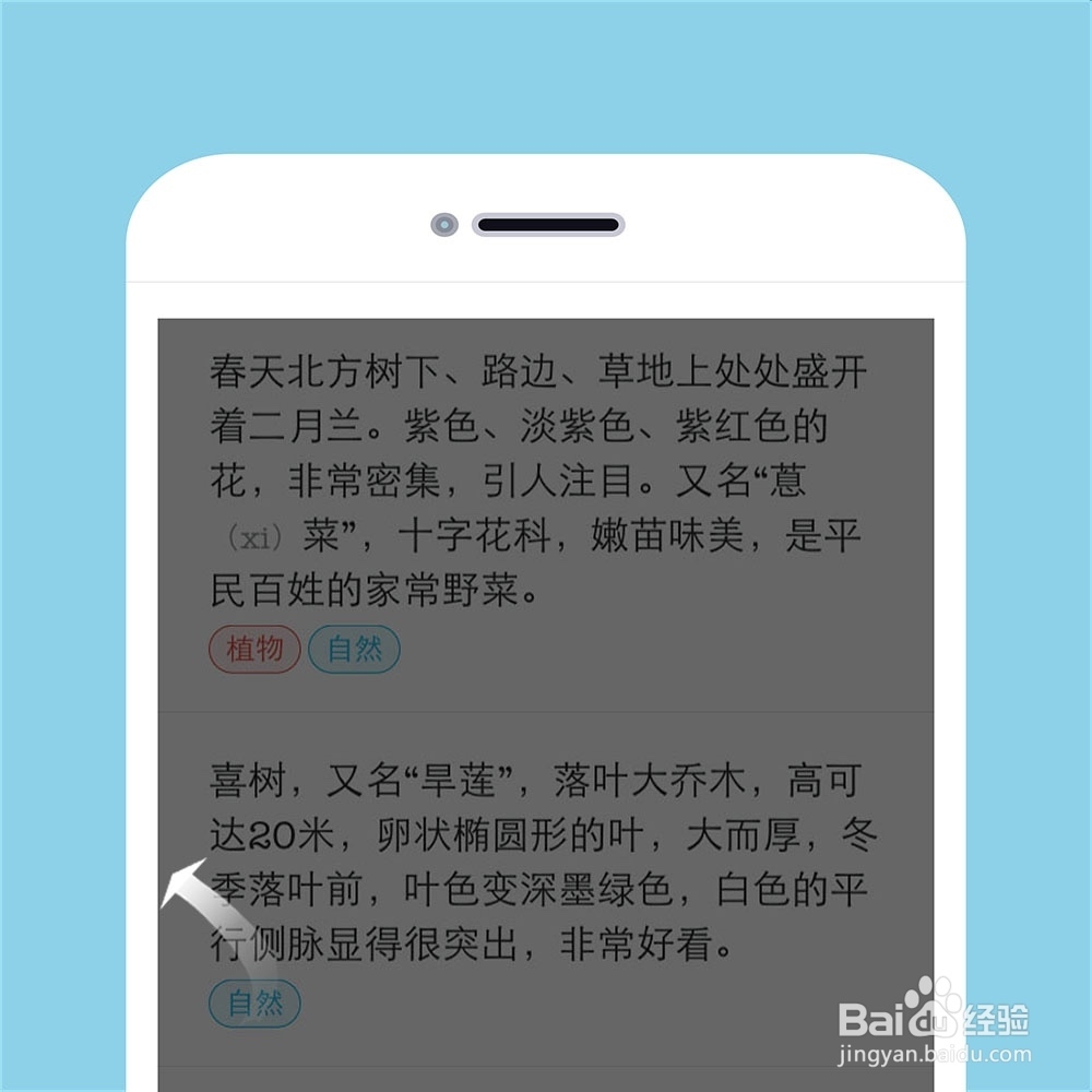 在蜂蜜里，怎样给段落添加标签