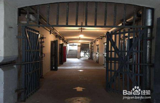 旅游青岛最全攻略,把我认识的青岛全部打包给你