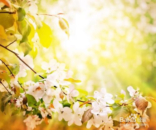 如何在校园找到靠谱的兼职