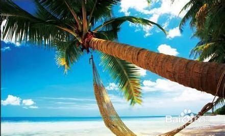 看海的时候怎么拍摄出美丽的海景