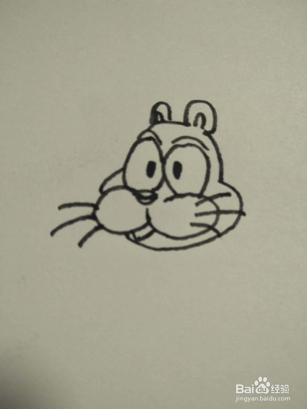 猫的简笔画法2