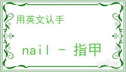 教你用英文认手