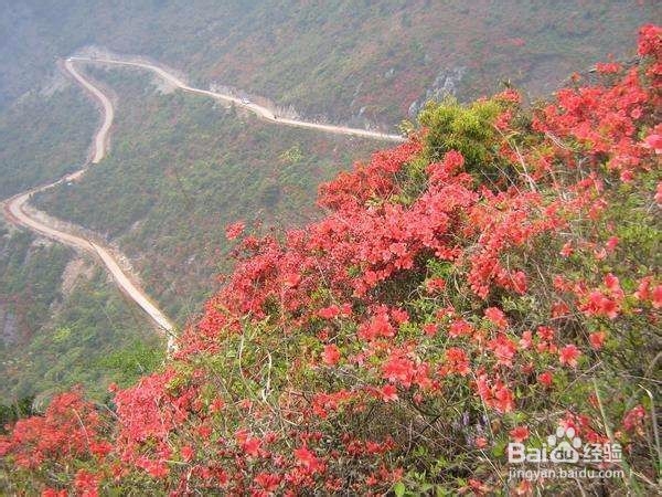 同安云顶山攻略