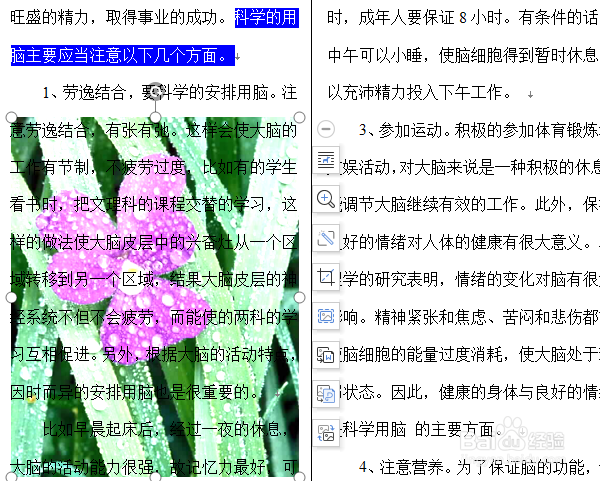 Word怎样调整图片的透明度