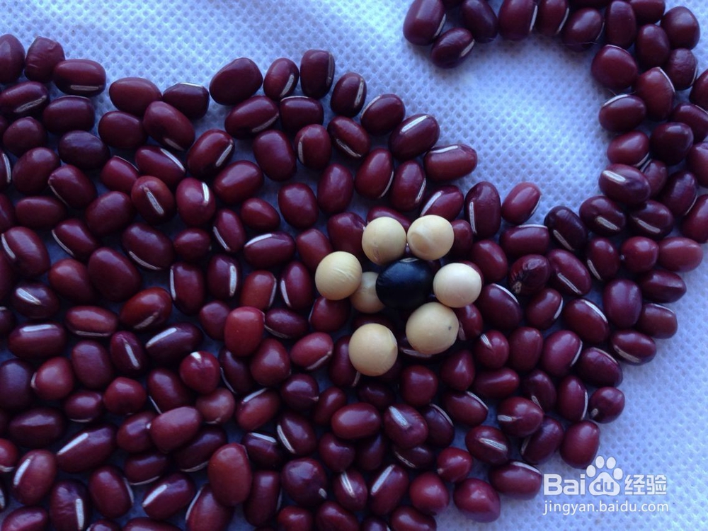 怎样画种子画--大象