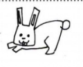 painter怎么画兔子