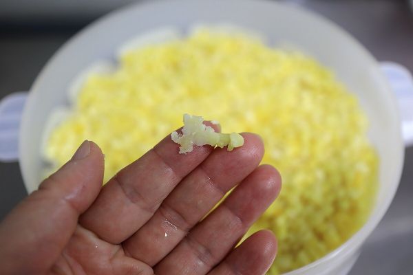 蔓越莓奶香绿豆糕