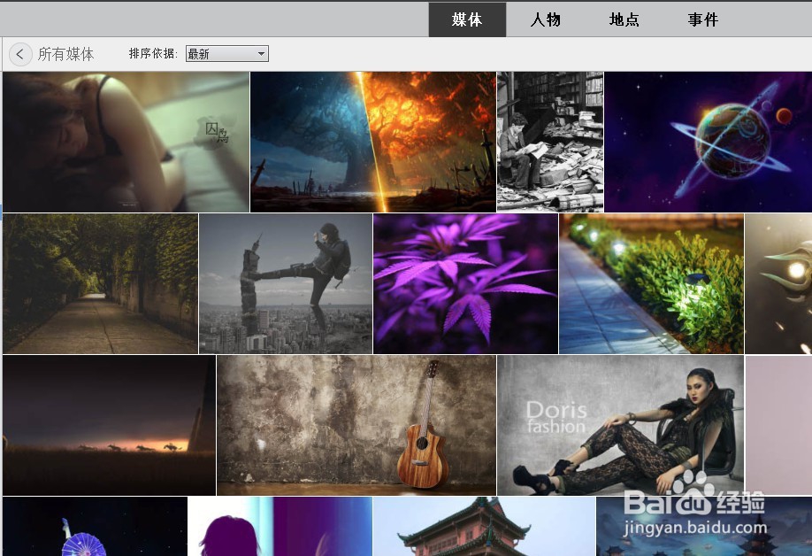 PS Elements 2020 怎样设置照片的排序依据