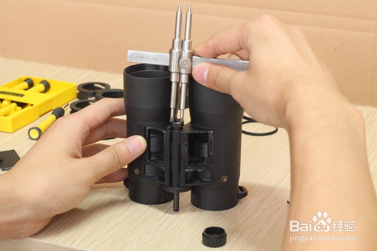 屋脊结构双筒望远镜拆解图望远镜结构图