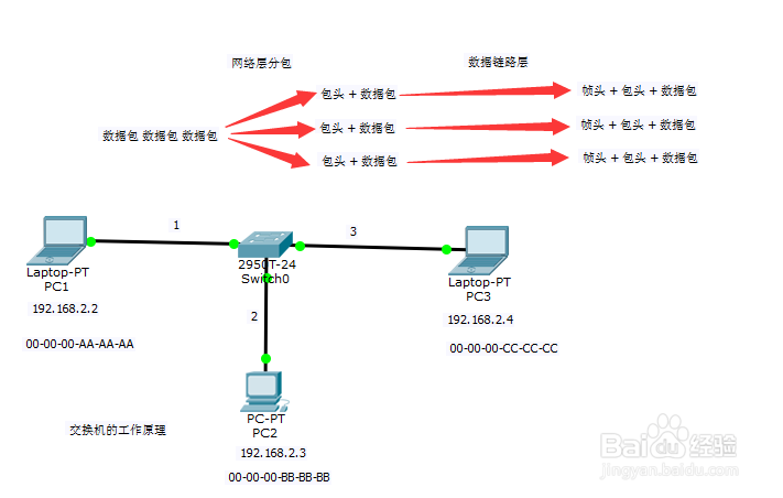 #交换机#-交换机的工作原理从这几点理解