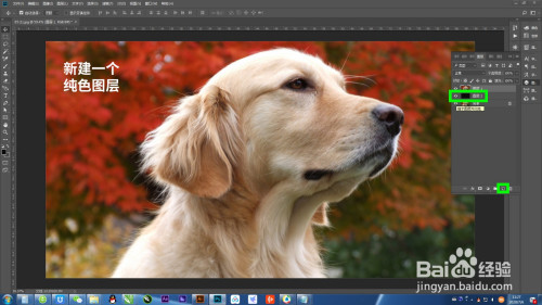 PS快速抠图的小技巧