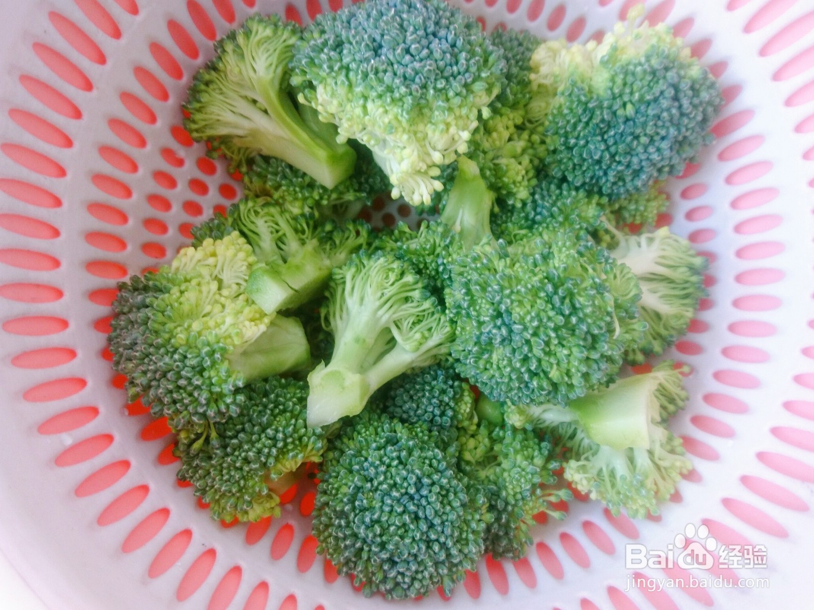 蚝油杏鲍菇怎么做好看又好吃