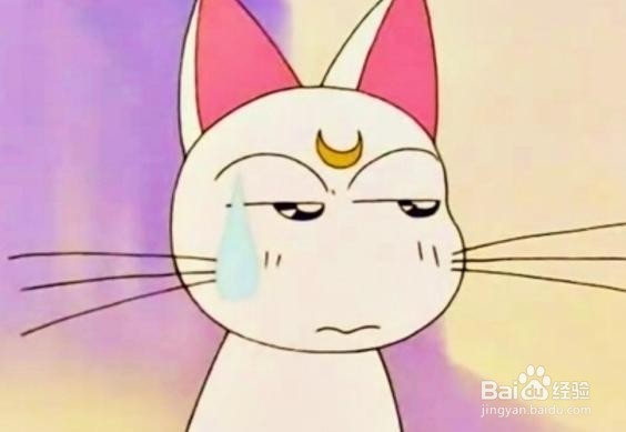 一天到底吃几个鸡蛋恰当