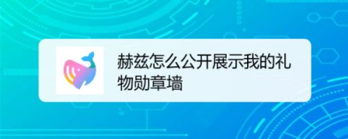 赫兹怎么公开展示我的礼物勋章墙