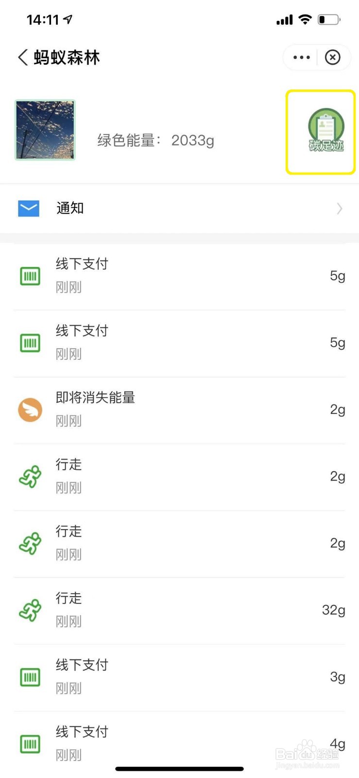 支付宝怎么查看蚂蚁森林中的个人碳足迹