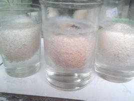 这些食物帮你做好秋季美白