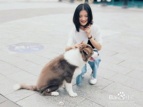 oppor11plus和vivox9splus哪个好