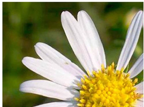 ps教程：图片放大后的质量调整