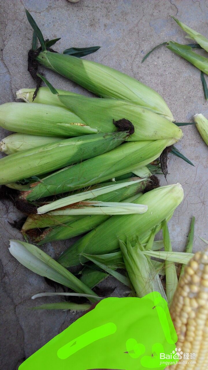 如何煮出香甜的玉米