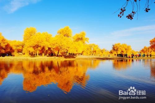 额济纳旅游游玩攻略