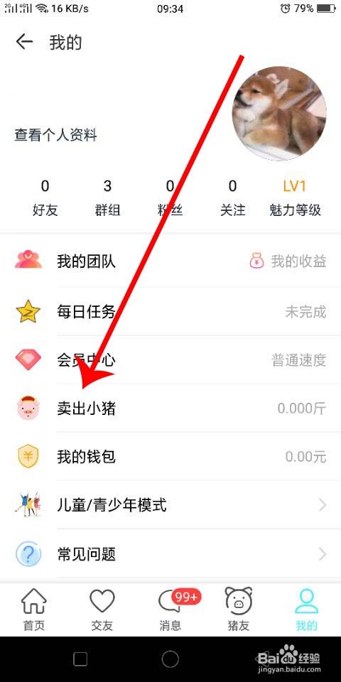 全民养猪怎么玩