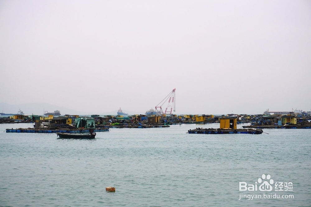 带你玩转海陵岛,看遍美食美景与美人